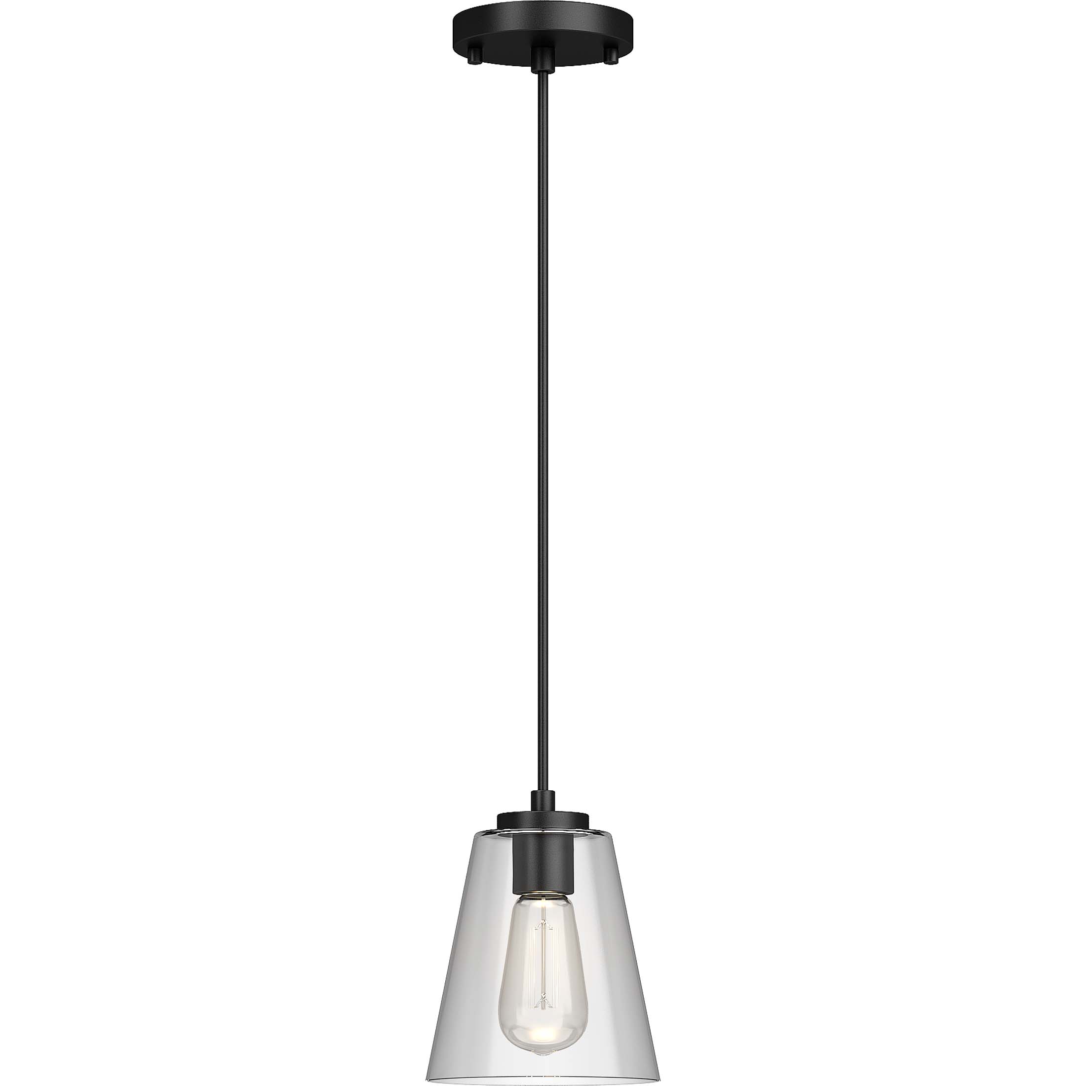 2501-5 Black 1-Light Pendant - QuantaLight